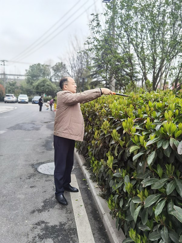 【輝隆置業(yè)】黨支部植樹(shù)節(jié)黨日活動(dòng)